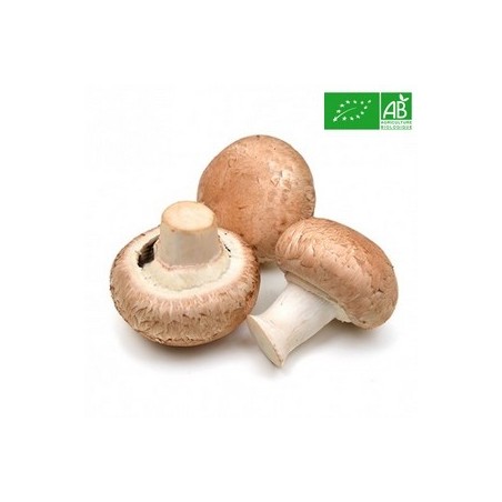 Champignons bio | Kg