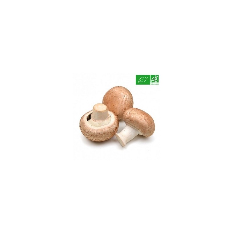 Champignons bio | Kg