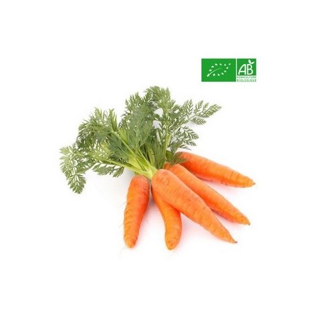 Carottes lavés Bio | Kg