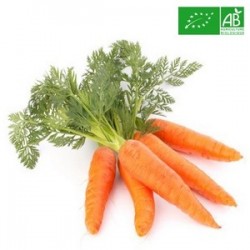 Carottes lavés Bio | Kg