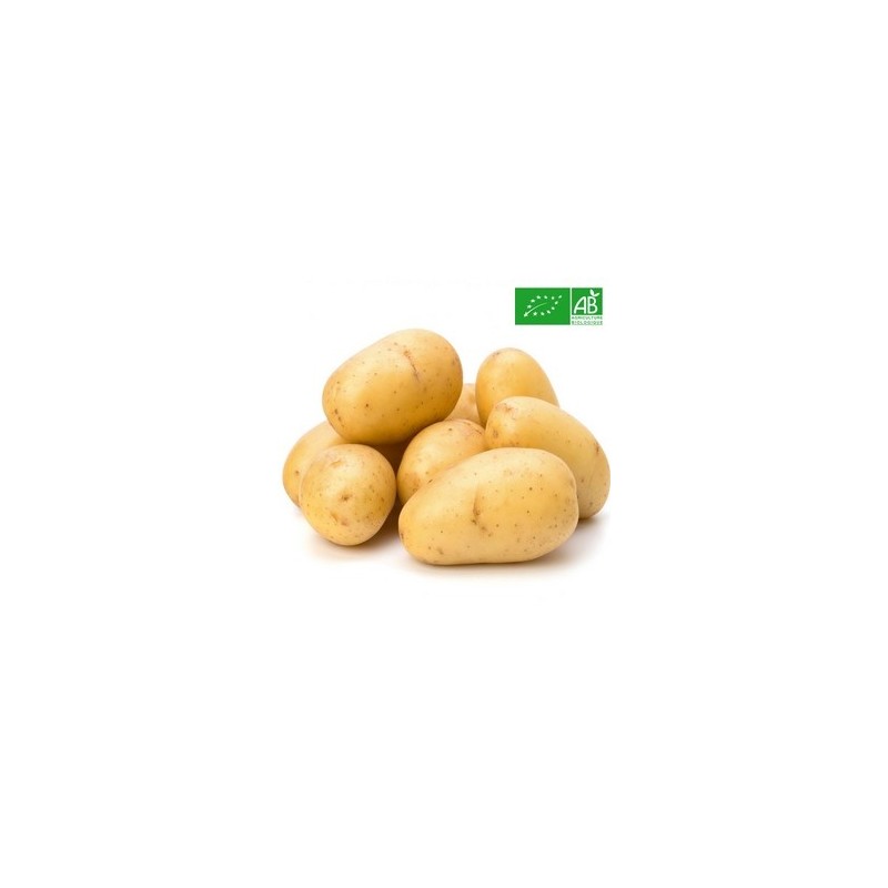 Pomme de terre Bio | Kilo